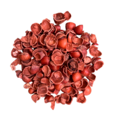 Coquille de Noisette 10/20