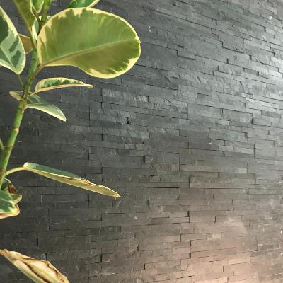 Parement Z ardoise Laja