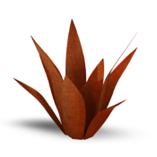 Agave en Corten 