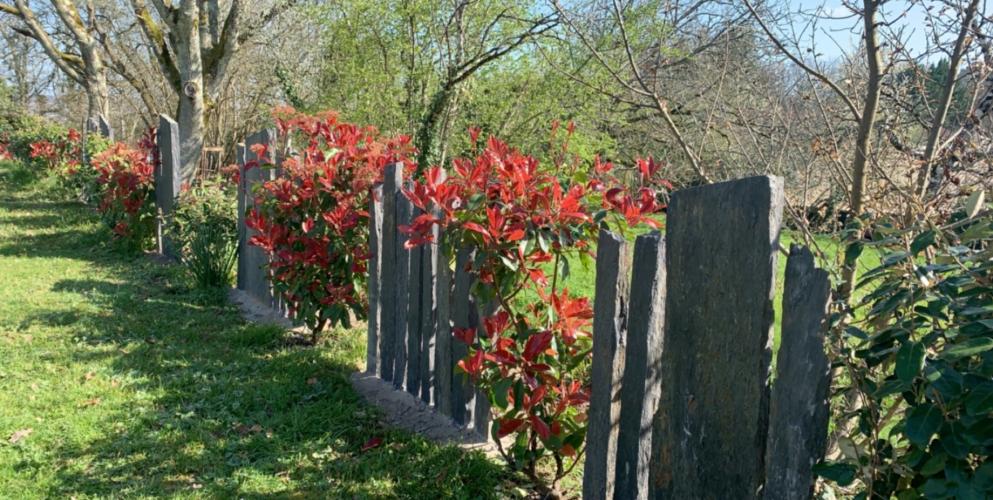 Piquet de schiste noir 100cm 1 bout scié